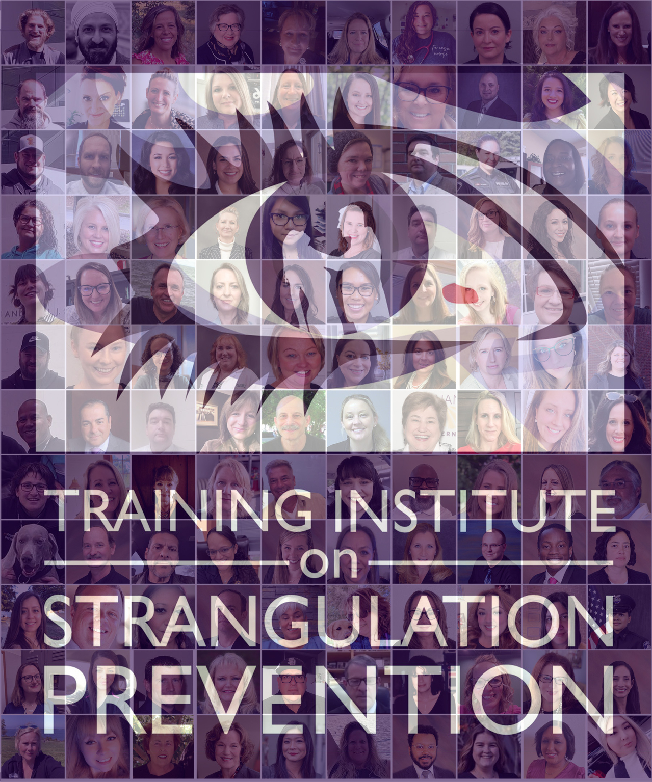 Training Institute on Strangulation Prevention