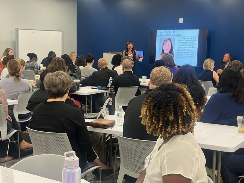 Training Institute on Strangulation Prevention